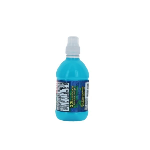 Bug Juice Mystry Flavor (Pack of 24) – 10 oz