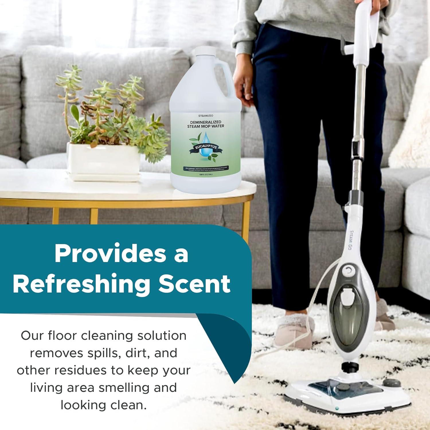 Steam & Go - Demineralized Water for Steam Cleaner,