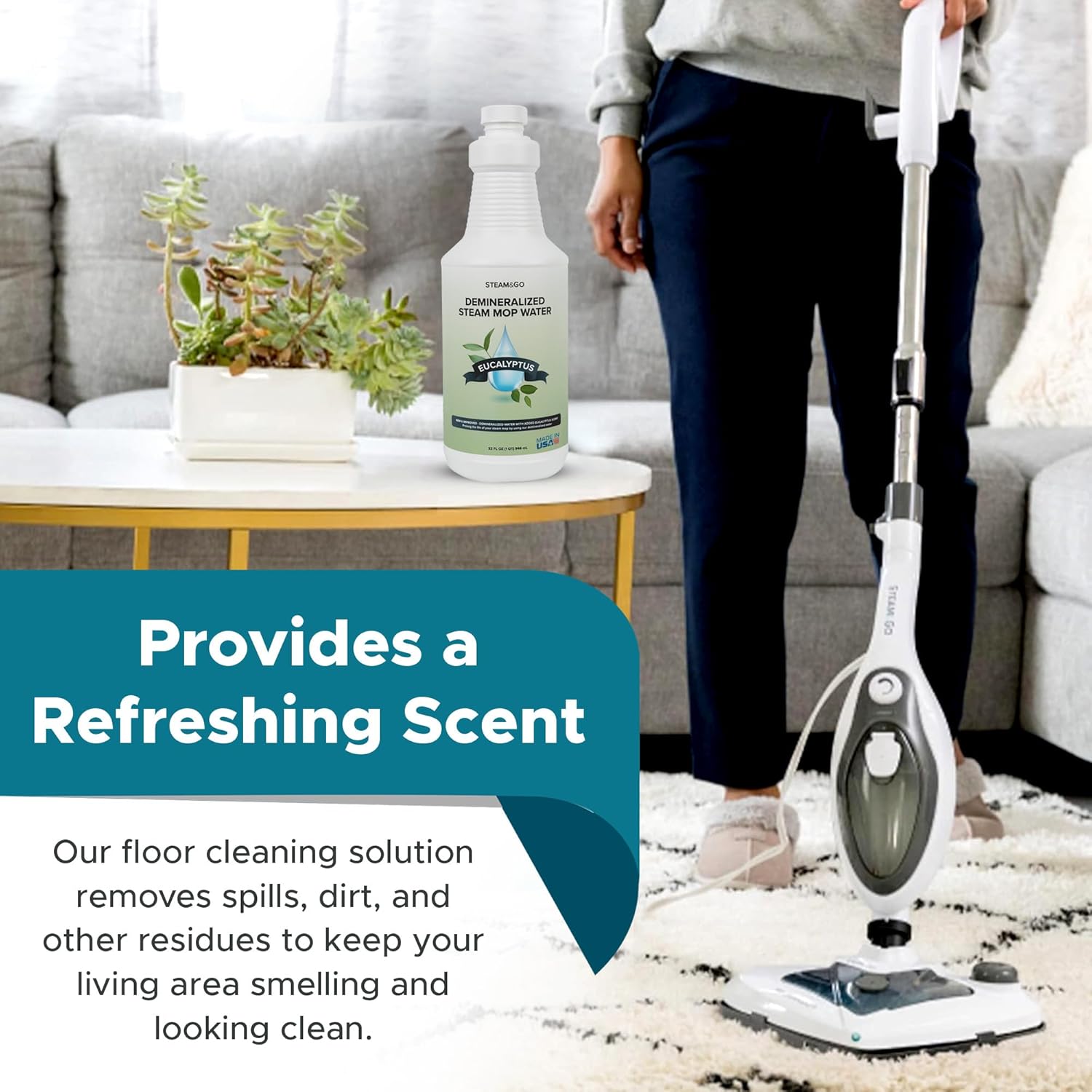 Steam & Go - Demineralized Water for Steam Cleaner,