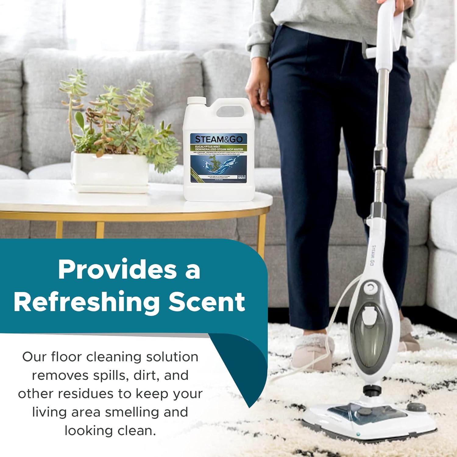 Steam & Go - Demineralized Water for Steam Cleaner,