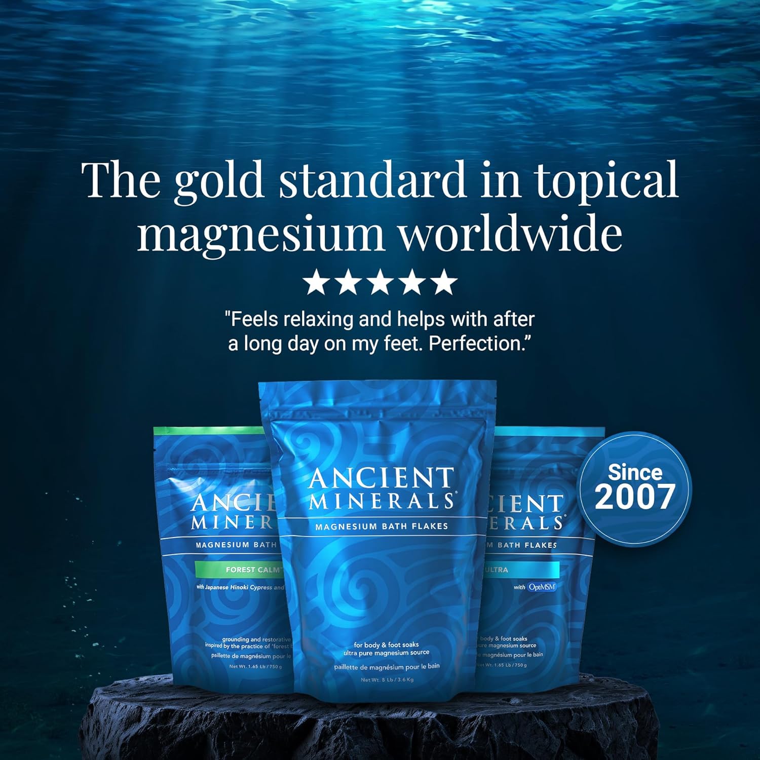 Ancient Minerals Magnesium Bath Flakes – Pure Zechstein Magnesium Chloride for Soaking and Whole-Body Replenishment,